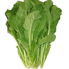 Fresh Roquette Lettuce, Packaging Size : 10-20kg