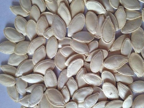 Shine Skin Pumpkin Seeds, Moisture : 9%