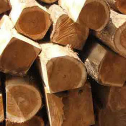 Ghana Teak Wood Logs