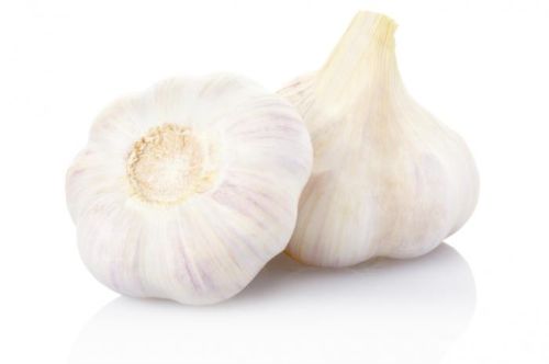 2017 Fresh Garlic