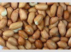 AFRICAN GROUNDNUT