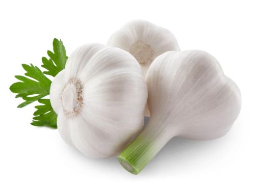 Fresh garlic, Feature : Moisture Proof, Gluten Free