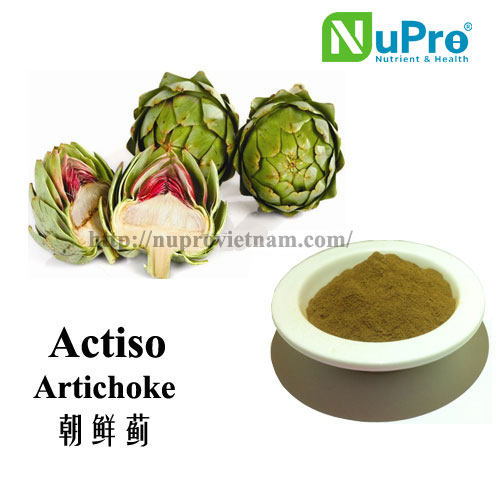 100% Natural Cynarin Artichoke Extract, Brand Name : Nupro