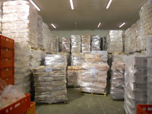 Halal Frozen Chicken Drumstick