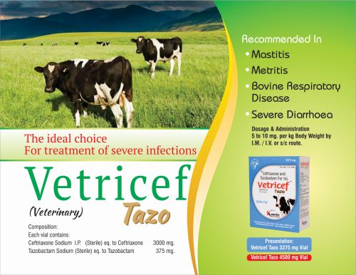 Vetricef Tazo Injection, For Cattles, Form : Liquid