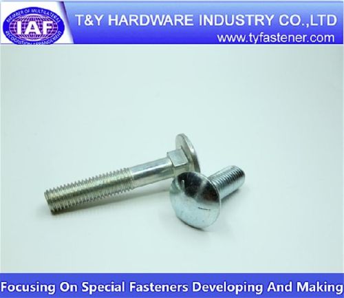 Stainless Steel Carriage Bolt