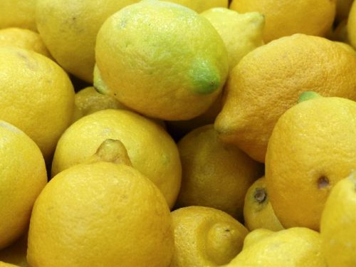 Common fresh lemon, Shape : Round, Packaging Type : Yellow