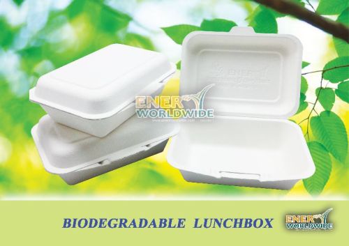 SUGARCANE BAGASSE Biodegradable Lunch Box, Brand Name : ENER