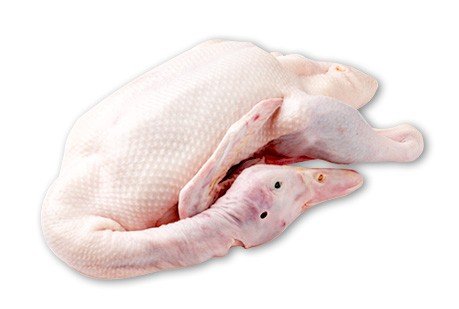 Frozen Duck Meat