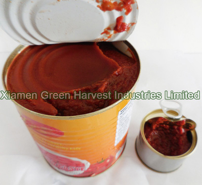 Canned Tomato Paste 22-24% Cheap Price Produced In China
