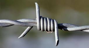 Barbed Wire, Barb Distance : 7.62-15.24mm
