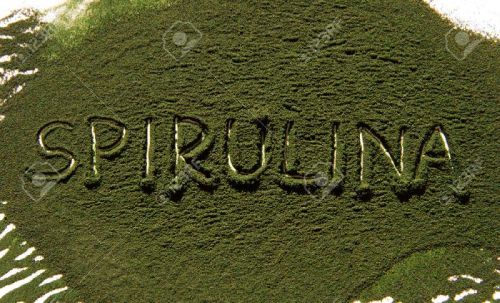 Spirulina Powder