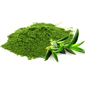 Organic Aloe Vera Leaf Powder, For Cosmetics, Herbal Medicines, Packaging Type : Plastic Bottle, Plastic Packet