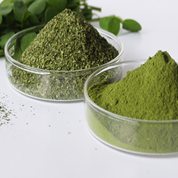 Organic Moringa Leaves Powder, For Cosmetics, Medicine, Feature : Exceptional Purity, Good Quality