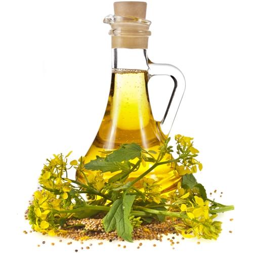 Natural Mustard Oil, For Cooking, Form : Liquid