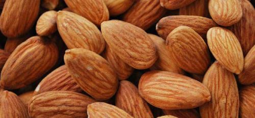 Almond Kernels