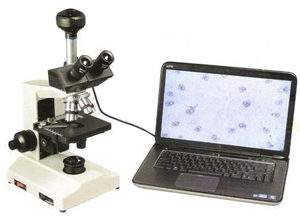 Research Trinocular Microscope
