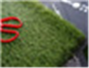 Landscape GrassWF-3D