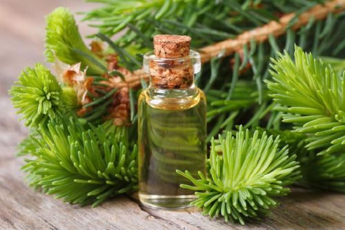 Cedarwood Oil, Certification : FDA, Kosher