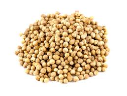 Coriander seeds, Packaging Size : 1kg/ 5kg/10kg/20kg