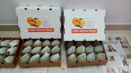 Fresh Mango,fresh Mango