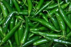 Fresh green chilli, Cultivation Type : Organic