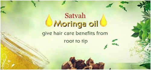 Moringa Oil, Extraction Method : Cold Pressed
