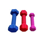 Weight Lifting Dipping DumbbellsDB-16for Bodybuilding and Strength Tra