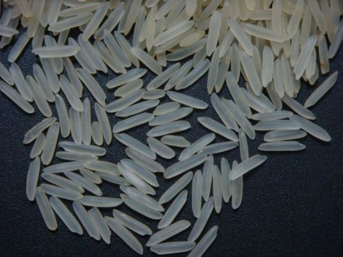 Common 1121 Sella Basmati Rice, For Gluten Free, High In Protein, Variety : Long Grain