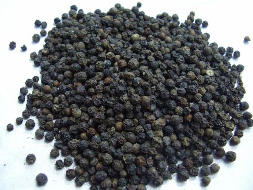 Organic Black Pepper Seeds