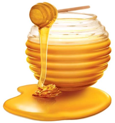 Honey, Purity : 100%
