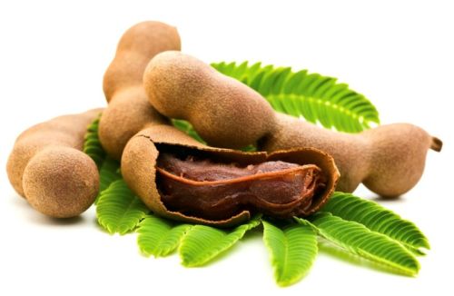 Common Organic Fresh Tamarind, Packaging Type : Packet