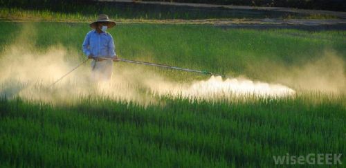 Agricultural Pesticides