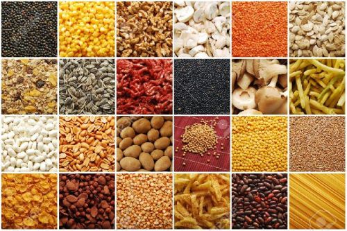 Organic Food Grains and Products