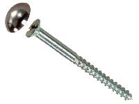 Polished Stainless Steel Mirror Screw, Head Shape : Round