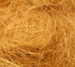 Coir Fiber