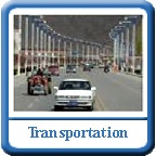 Transportation Management Services