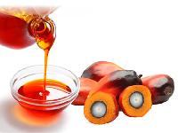 Organic Palm Kernel Oil, For Cooking, Feature : Absolutely Fresh, Completer Pure, Good Quality, Nice Fragrance