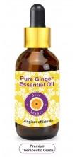 Ginger Essential Oil