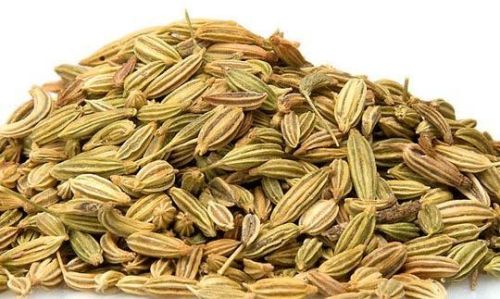 Fennel Seed Oil