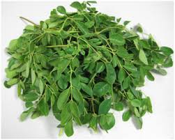 Moringa Dried Leaves