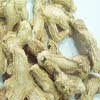 Dried Ginger