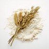 Wheat flour, Supply Type : Supplier