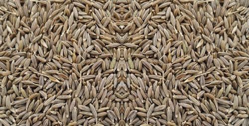 Acara International Cumin Seeds