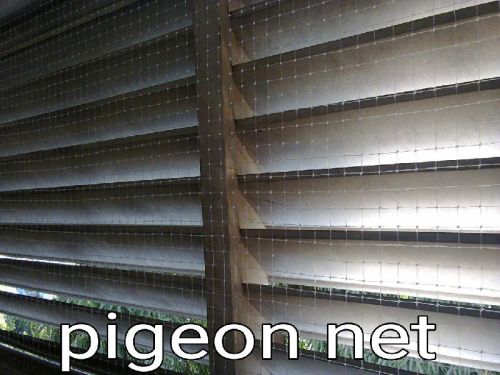 Plain Metal Anti Bird Net, Size : 70x30inch, 72x32inch, 74x34inch
