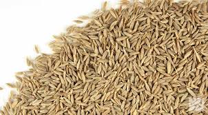 Cumin Seeds