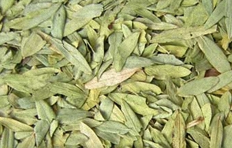 Dried Senna Leaves