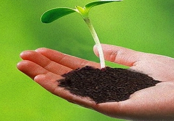 Vermicompost, Feature : Excellent Texture