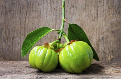 Garcinia Extract,garcinia Extract, Purity : 100%