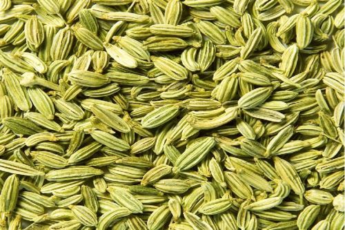 VEJMART Fennel Seeds